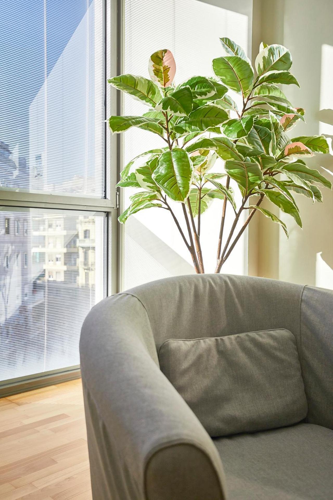 Bbarcelona Placa Universitat Flat エクステリア 写真